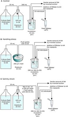 Environmental Stress Responses and Experimental Handling Artifacts of a Model Organism, the Copepod Acartia tonsa (Dana)